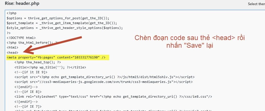 cai-dat-code-trong-theme-wordpress-3